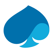Worked at Capgemini